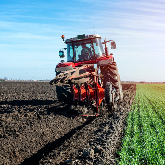 e41507d3 about us.jpg